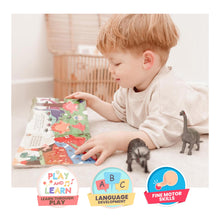 Load image into Gallery viewer, Ditty Bird Dinosaur Sounds Board Book (Rechargeable)