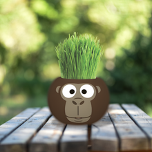 Load image into Gallery viewer, Large Grass Hair Kits (Assorted)