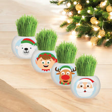 Load image into Gallery viewer, Christmas Grass Hair Kits 2024 (Assorted)