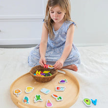 Load image into Gallery viewer, Curious Columbus Magnetic Foods & Letters