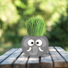 Load image into Gallery viewer, Large Grass Hair Kits (Assorted)