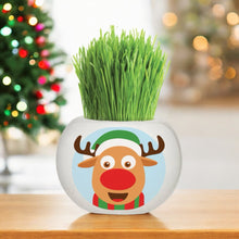 Load image into Gallery viewer, Christmas Grass Hair Kits 2024 (Assorted)