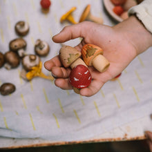 Load image into Gallery viewer, Child's hand holding small toy mushrooms on a patterned surface
