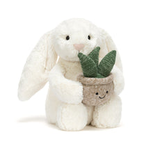 Load image into Gallery viewer, Jellycat Bashful Cream Bunny With Plant (Medium)