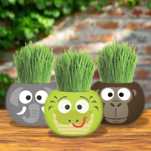 Load image into Gallery viewer, Large Grass Hair Kits (Assorted)