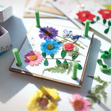 Load image into Gallery viewer, 4M Green Creativity Pressed Flower Art