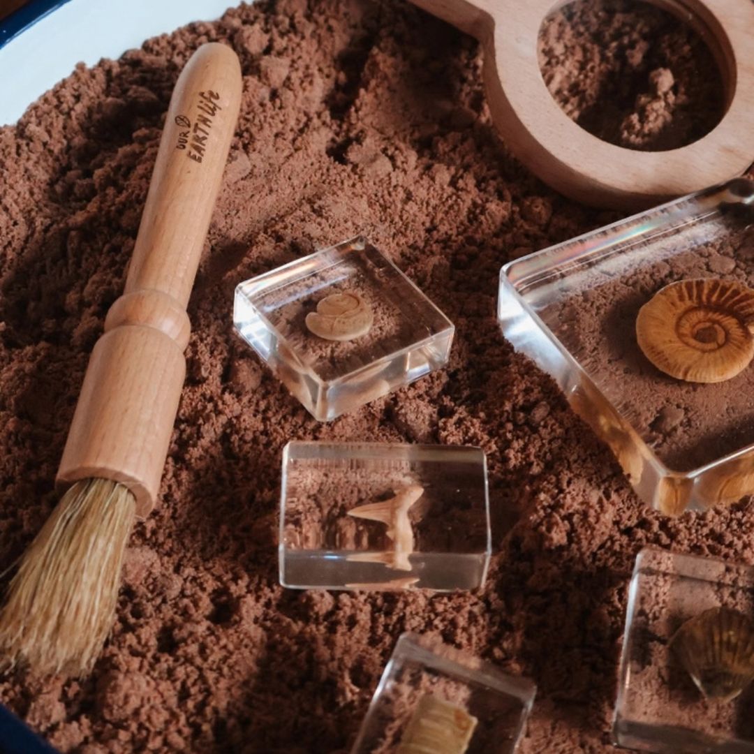 Our Earth life: Wooden Discovery Brush