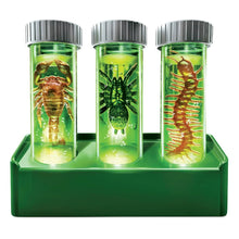 Load image into Gallery viewer, 4M KidzLabs Glow Critter Lab