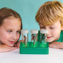 Load image into Gallery viewer, 4M KidzLabs Glow Critter Lab
