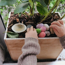 Load image into Gallery viewer, Grapat Happy Eggs