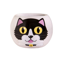 Load image into Gallery viewer, Grass Hair Kits - Adopt A Kitten (Assorted)