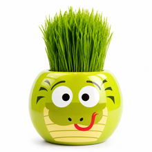 Load image into Gallery viewer, Large Grass Hair Kits (Assorted)