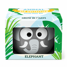 Load image into Gallery viewer, Large Grass Hair Kits (Assorted)