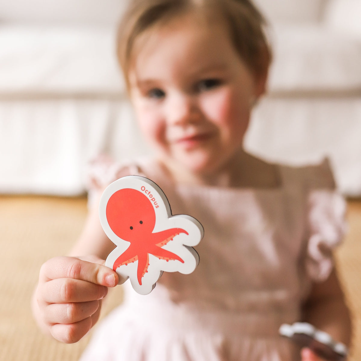 Curious Columbus Magnetic Animals & Letters