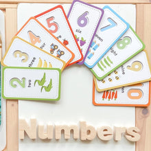 Load image into Gallery viewer, Curious Columbus Flash Cards & 123 Magnetic Numbers
