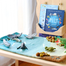 Load image into Gallery viewer, Tara Treasures Large Sea and Rockpool Playmat