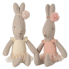 Load image into Gallery viewer, Maileg Rabbit Micro Ballet Suit and Skirt (Assorted)