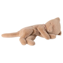 Load image into Gallery viewer, Maileg Sleeping Kitten Plush Small (Assorted)