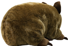 Load image into Gallery viewer, Outbackers 58cm Large Wombat "Wayne"