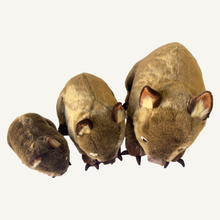 Load image into Gallery viewer, Outbackers 45cm Big Wombat "Russ"