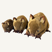 Load image into Gallery viewer, Outbackers 58cm Large Wombat "Wayne"