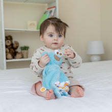 Load image into Gallery viewer, Sesame Street Cookie Monster Comfort Blanket