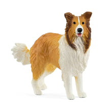 Load image into Gallery viewer, Schleich Collie