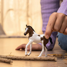 Load image into Gallery viewer, Schleich Paint horse foal