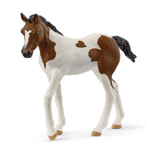 Load image into Gallery viewer, Schleich Paint horse foal