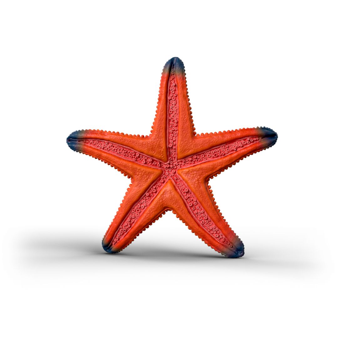Schleich - Color Change Starfish