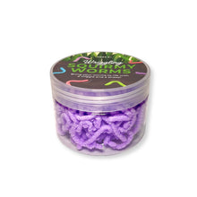 Load image into Gallery viewer, Discovery Zone Squirmy Worms (Assorted)