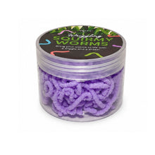 Load image into Gallery viewer, Discovery Zone Squirmy Worms (Assorted)