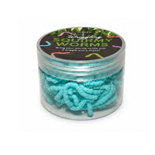 Load image into Gallery viewer, Discovery Zone Squirmy Worms (Assorted)