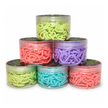 Load image into Gallery viewer, Discovery Zone Squirmy Worms (Assorted)