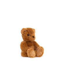 Load image into Gallery viewer, Wonderlings Theodore Bear c. 1902