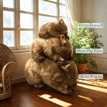 Load image into Gallery viewer, Outbackers 58cm Large Wombat "Wayne"