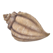 Load image into Gallery viewer, Mermaid Garden Conch Shell House