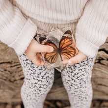 Load image into Gallery viewer, Our Earth life: Common Tiger Butterfly Specimen
