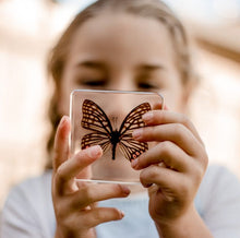 Load image into Gallery viewer, Our Earth life: Butterfly Specimen Set