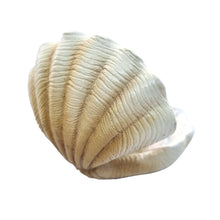Load image into Gallery viewer, Mermaid Garden Clam Shell Sofa