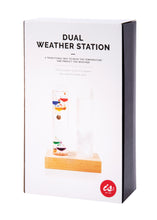 Load image into Gallery viewer, Dual Weather Station