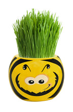 Load image into Gallery viewer, Grass Hair Kits (Assorted)