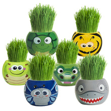 Load image into Gallery viewer, Grass Hair Kits (Assorted)