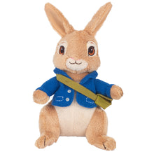 Load image into Gallery viewer, Peter Rabbit 22cm Plush (Assorted)