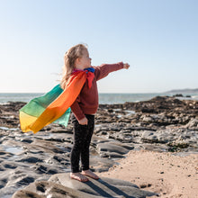 Load image into Gallery viewer, Play Silkies Rainbow Silk