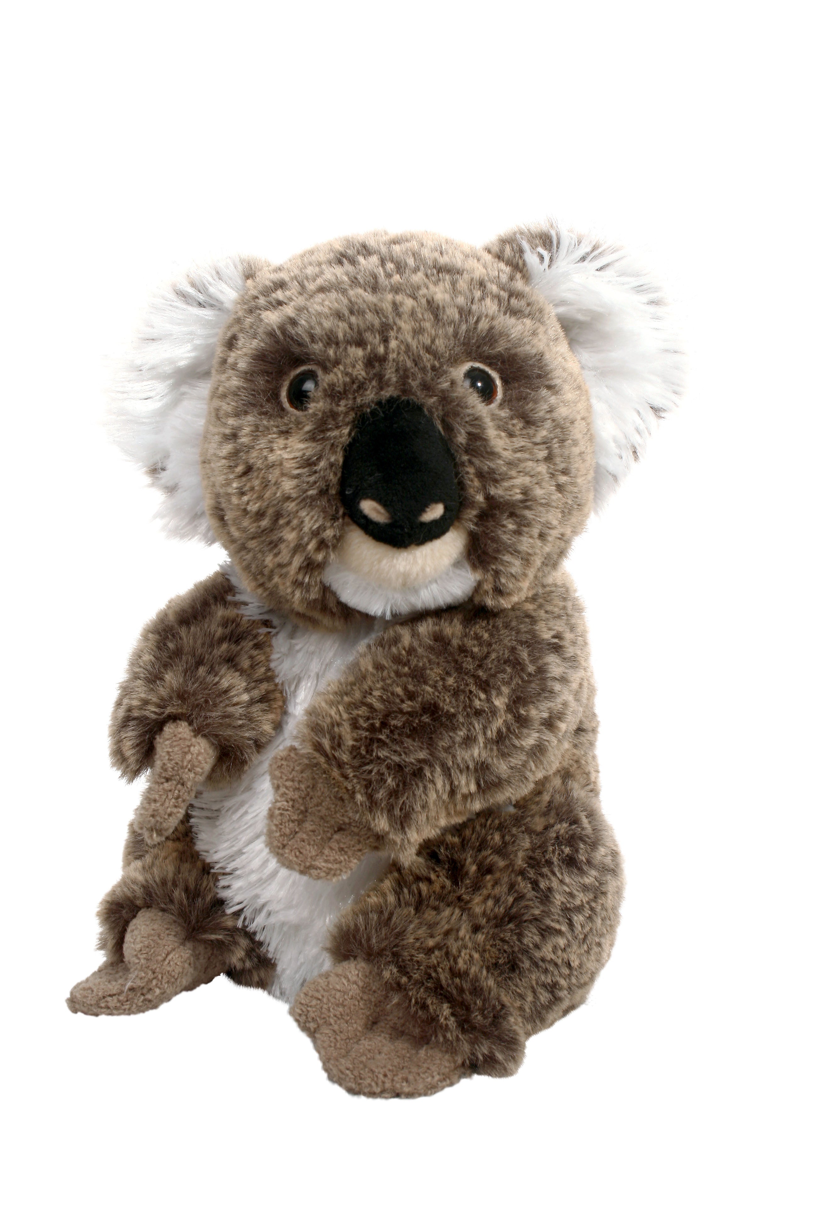 Girls Plush - Fairy Koala, Australia the Gift