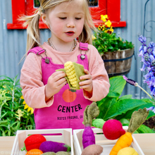 Load image into Gallery viewer, Tara Treasures Felt Vegetables & Fruits (Set A)