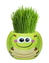 Load image into Gallery viewer, Grass Hair Kits (Assorted)
