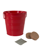 Load image into Gallery viewer, Christmas Tree Grow Kit (Pine)