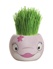 Load image into Gallery viewer, Grass Hair Kits (Assorted)